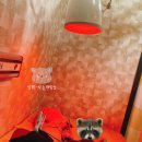 [인대파열/실금] 발목 인대파열일지 그 두번째 (정형외과에서 한의원으로 노선변경)