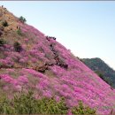 2013년 4월 14일(일) 경남 창원시 천주산(639m), 작대산(648m) 정기산행공지 이미지