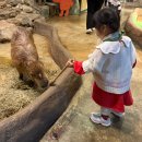 하남유니온로 | 주렁주렁 하남 실내동물원 주말 후기 | 개구쟁이 29개월 아이와 가볼 만한 곳으로 추천하는 이유