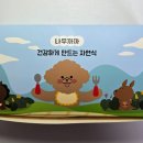 나무까까 이미지