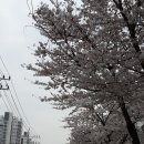 농협사거리 이미지