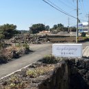 동동스테이 | 모든 것이 완벽했던 제주 구좌읍 하도리 조용한 독채 숙소 동동스테이