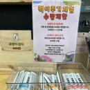 정이캣 | 따뜻한 의미까지 담긴 성수 실내 놀거리 : 길고양이마을 성수협력점 방문 후기