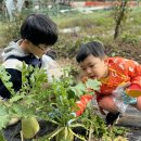 🤍배려반🤍 으랏차차 가을무뽑기&amp;가을길걷기 이미지