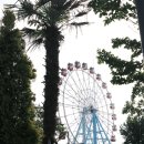 초양도 대관람차 이미지