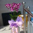 무등1리 경로당 이미지