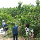 석현농장 이미지