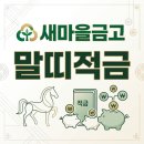 새마을금고 대명3동지점 앞 | 새마을금고 말띠적금, 올해도 나오나요? 요즘 금리 분위기랑 우대 조건 직접 찾아본 솔직 후기