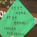 피에스타PC방 원주연대점 | 초라한 날 보며 웃어도 난 내 모습이 너무 아름다워