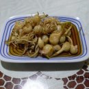 은달래 이미지