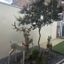 1공단로6길1L-6 | 동촌유원지 맛집 로렐트리 솔직 후기｜강뷰 보면서 먹는 대구 파스타&amp;스테이크 데이트 코스 인정🍋