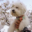 삼문동둔치주차장 이미지