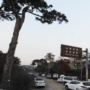 노송식당 이미지