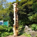 비자림의 아침 이미지