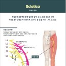 몸앤장한의원 이미지