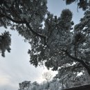 동양근린공원 이미지