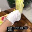 샤브 느낌의 알배추찜 이미지