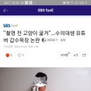 갑수농장 이미지