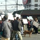 태평하개 이미지