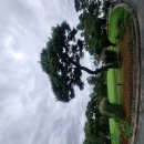 ICHEON138 | [블랙스톤GC 이천] 전망좋은 회원제 명문 골프장 뷰 맛집 포토존 코스공략 리얼 후기