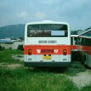 김해시내버스들.. 이미지
