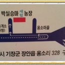 박실농장 Daum카페