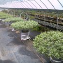 주산산업고등학교 이미지