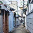 시고 | 미미 | 대구 중식맛집에서 시고 매운 쏸라탕 먹은 후기| 오픈런 후기