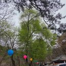 국립 공원 원주 치악산계곡 구룡사 삼천불전 | 한을 카페 방문 후기