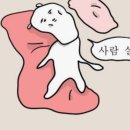 오늘된찌 이미지