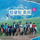 투어투어 이미지