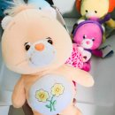 내츄럴원더스 이미지