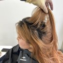 살롱드뉴엘