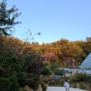 화강황토 이미지