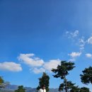 포레스트 골프연습장 이미지