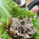 금당 우리집 오리 이미지