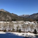 포레스트 월악 이미지