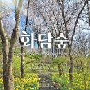 화담 이미지