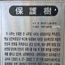 남천1-221 이미지