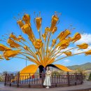 달전회관 이미지