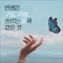 인생은 구름, 바람, 흐르는 물과 같은 것_김화영 이미지