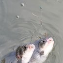 우리 모두 다함께 노래해 이미지