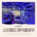 [아기랑놀자] 아이랑 가기 좋은 카페ﻭ 스타필드 고양 매직플로우 방문 후기 ෆ