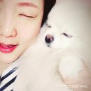 솜소밍 이미지
