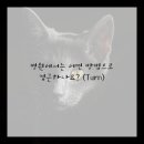 보강한방병원 이미지