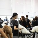 애옹애몽 이미지