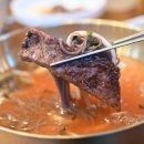 엉게나무 이미지