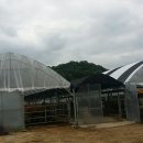 지훈농장 이미지