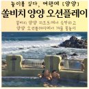 가야전통시장 | 양양 쏠비치 오션플레이 겨울워터파크 즐기기 쏠비치 양양 리조트 숙소