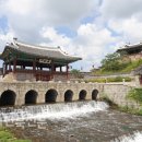 무지개가 피어나는 이미지